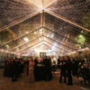 Clear Top Perfect Free Span Fun tents